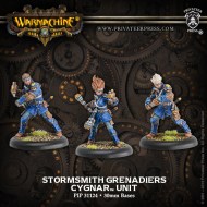 31124_Stormsmith Grenadiers_WEB